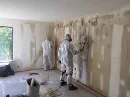 Why You Should Choose Our Mold Remediation Services in Sanger, CA